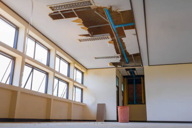Best 24-hour water damage restoration  in Mineola, TX