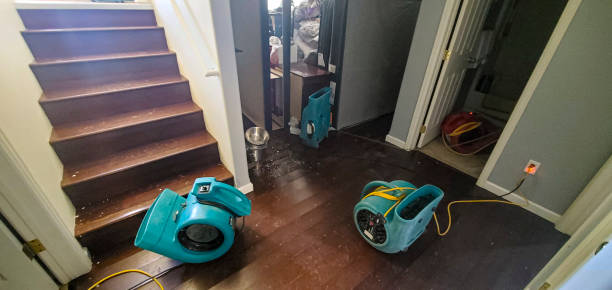 Best Commercial water damage restoration  in Mineola, TX