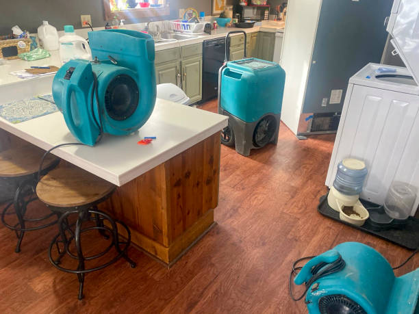 Best Carpet water damage restoration  in Mineola, TX