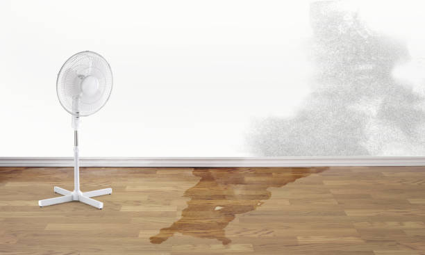 Water damage restoration insurance claims in Mineola, TX