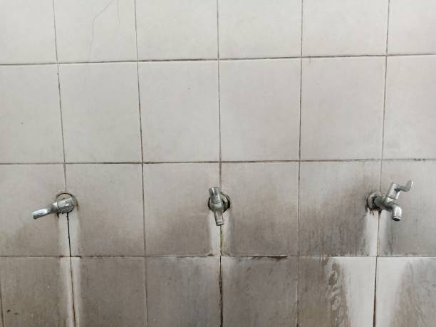 Best Commercial water damage restoration  in Mineola, TX