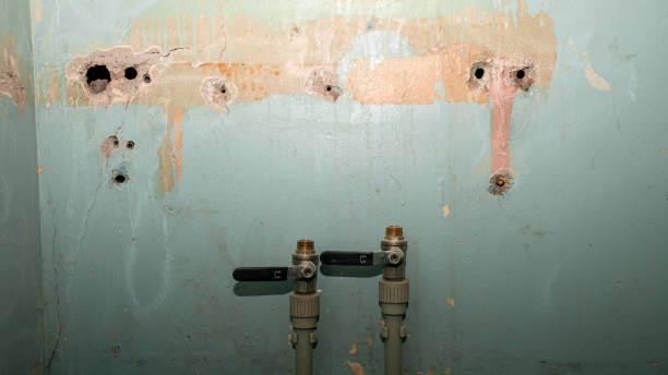 Best 24-hour water damage restoration  in Mineola, TX