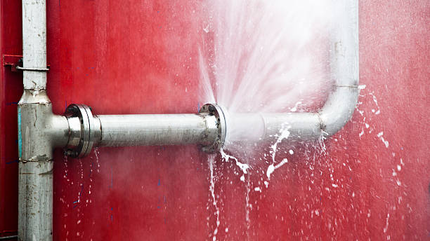 Best Carpet water damage restoration  in Mineola, TX